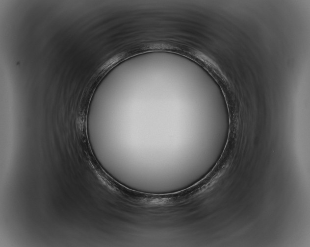 X0000086010841200704131826