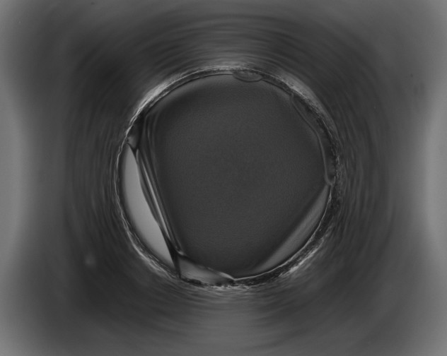 X0000086010842200704131826
