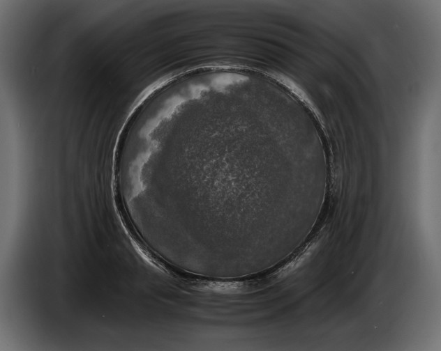 X0000086010845200704131826