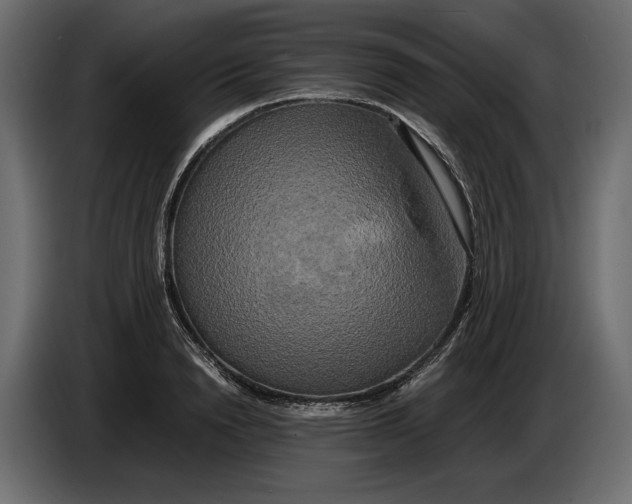 X0000086010846200704131826