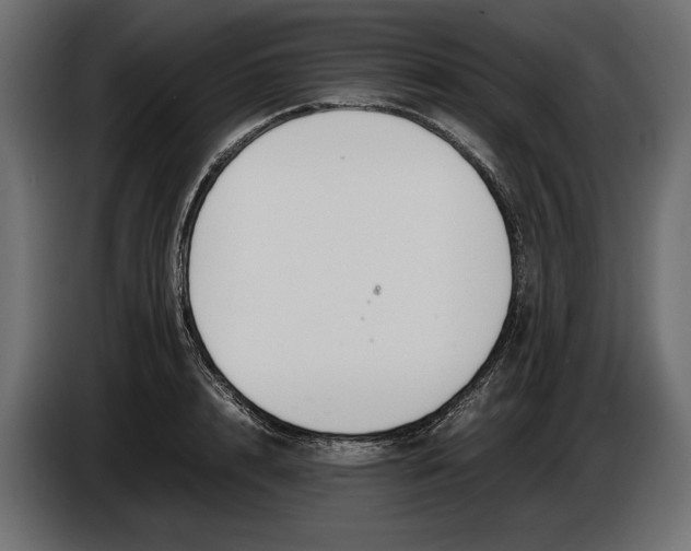 X0000086010848200704131826