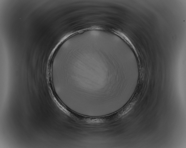 X0000086010851200704131826