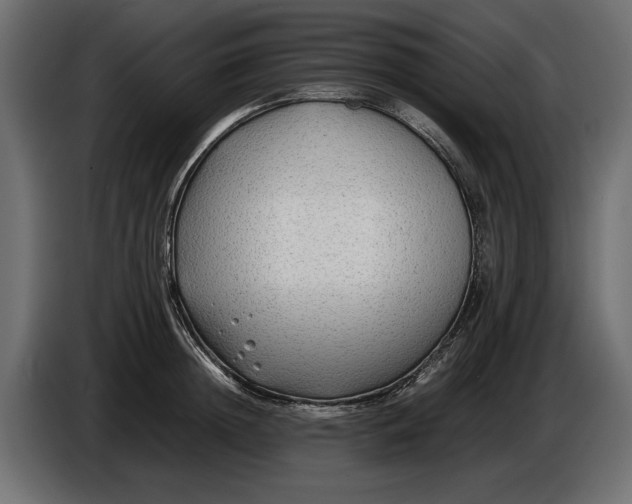 X0000086010852200704131826