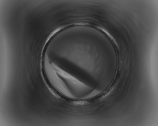 X0000086010853200704131826