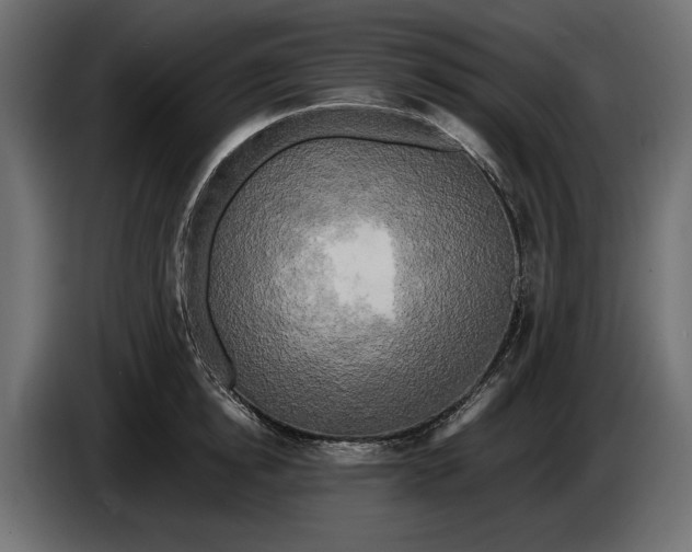 X0000086010854200704131826