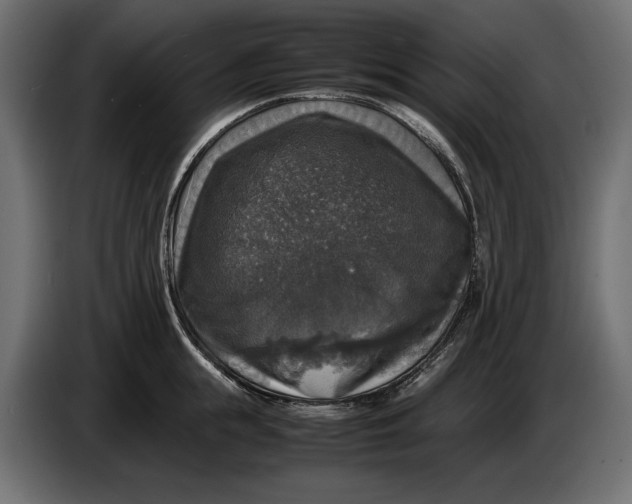 X0000086010855200704131826