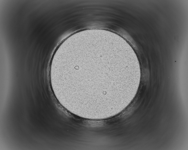 X0000086010856200704131826