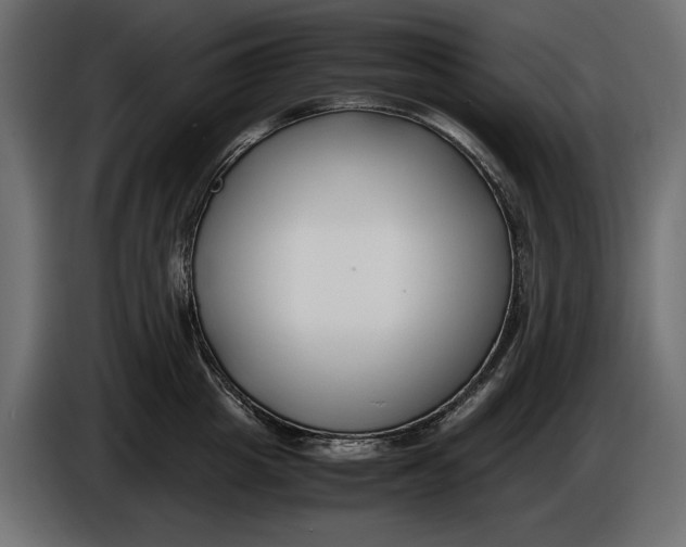X0000086010857200704131826