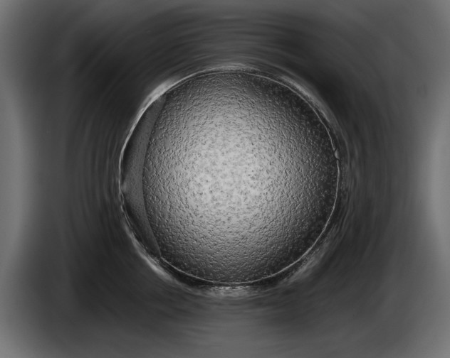 X0000086010858200704131826