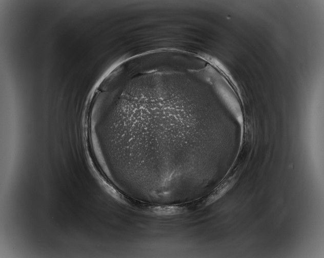 X0000086010859200704131826