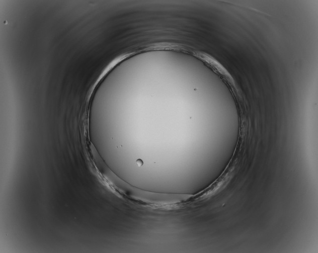 X0000086010860200704131826