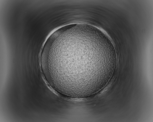 X0000086010862200704131826