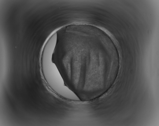 X0000086010864200704131826