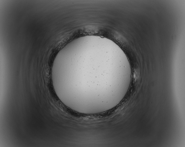 X0000086010867200704131825