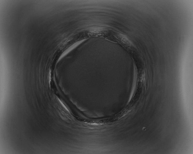 X0000086010868200704131825