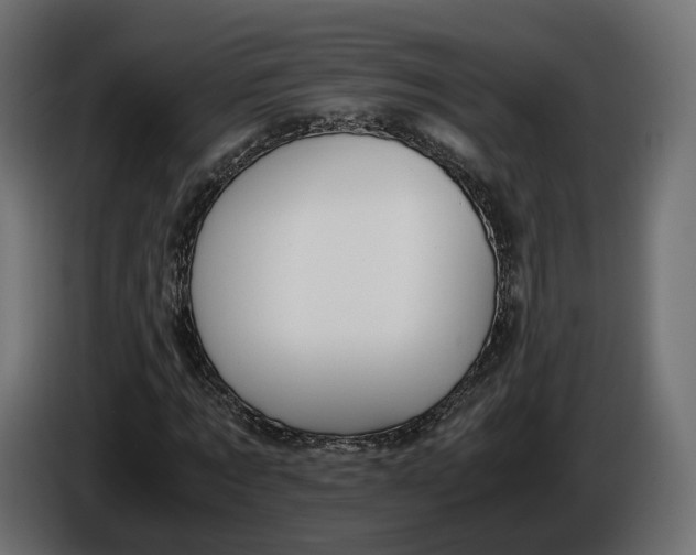 X0000086010869200704131825