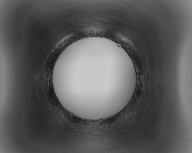 X0000086010870200704131825