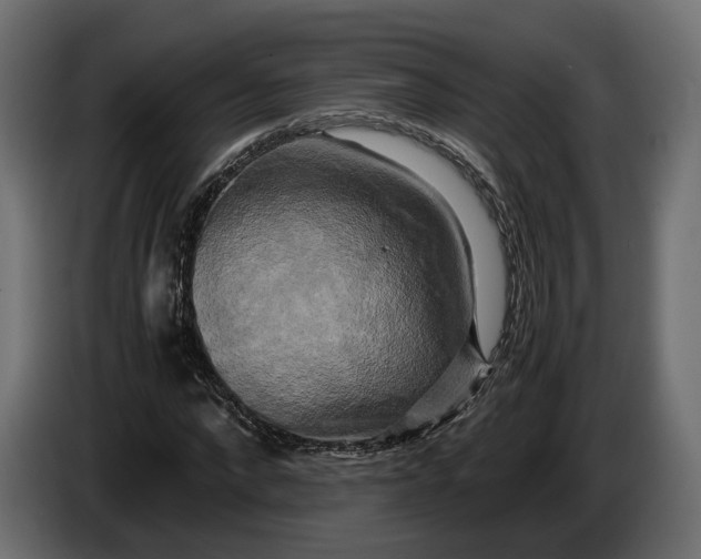 X0000086010872200704131825