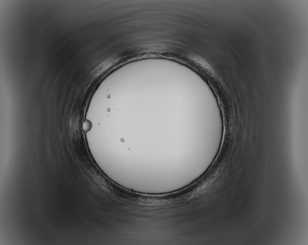 X0000086010873200704131825