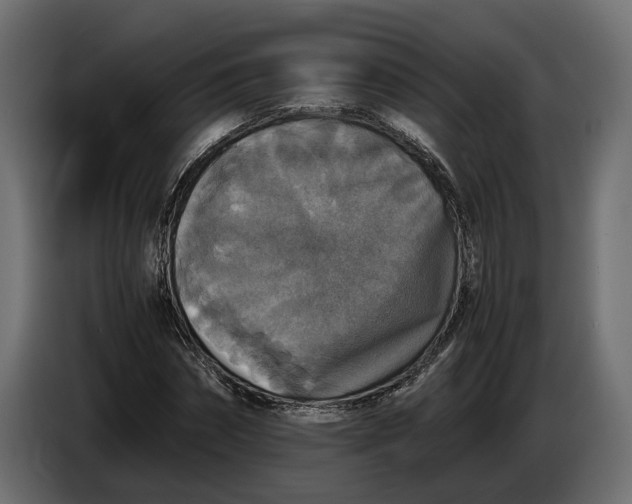 X0000086010874200704131825