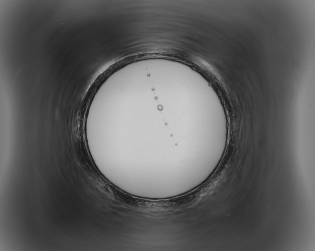 X0000086010875200704131825