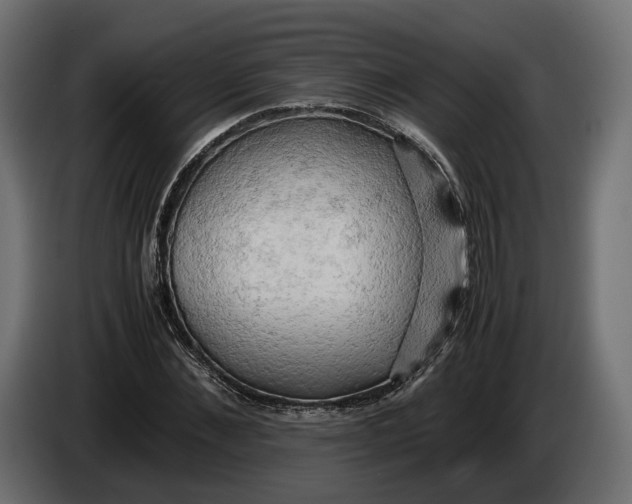X0000086010876200704131825