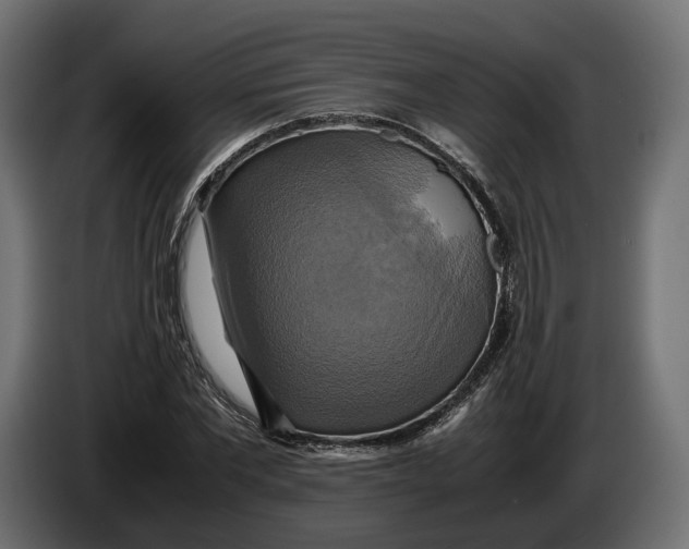 X0000086010877200704131825