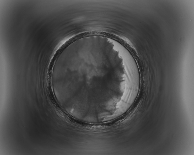 X0000086010879200704131825