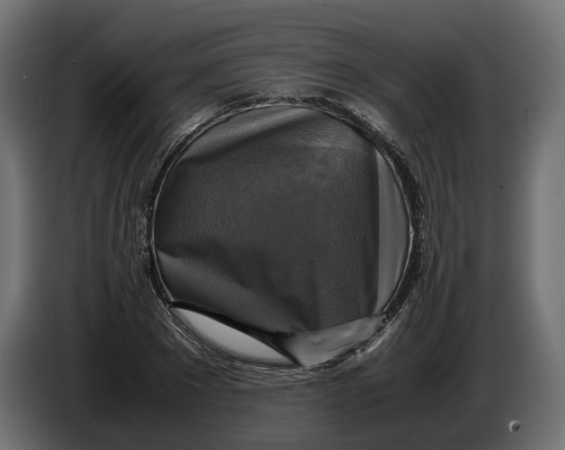 X0000086010881200704131825