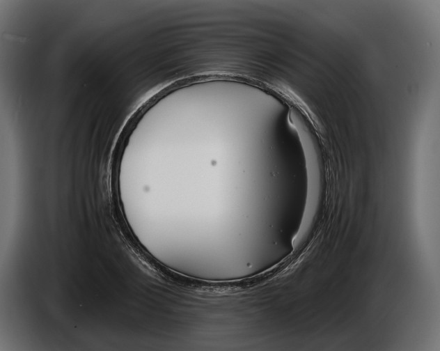 X0000086010884200704131825