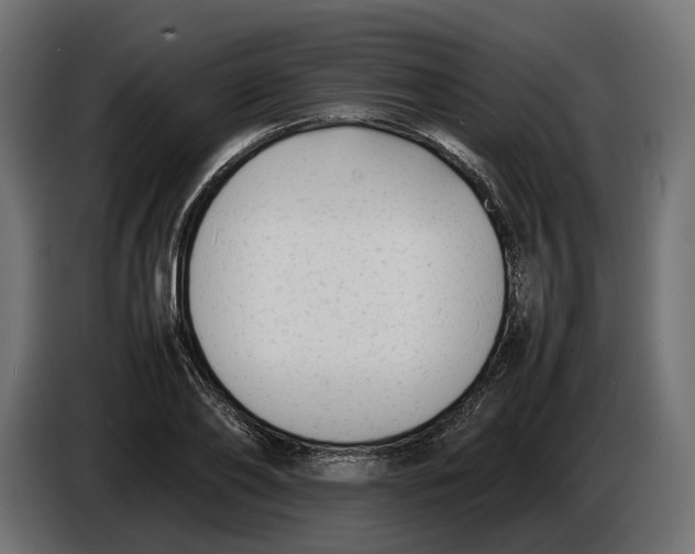 X0000086010886200704131825