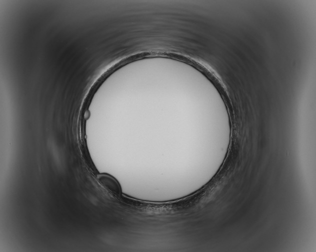 X0000086010887200704131825
