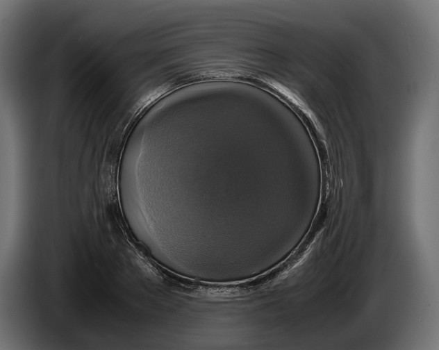 X0000086010889200704131825