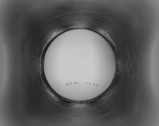 X0000086010890200704131825