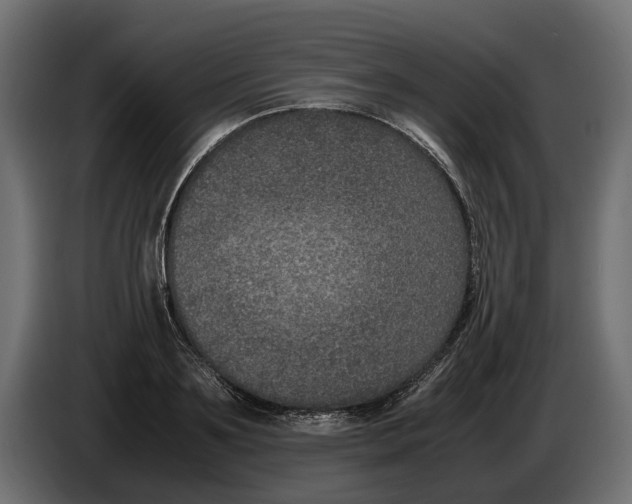 X0000086010891200704131825