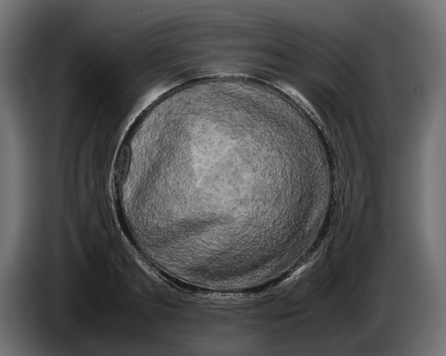 X0000086010893200704131825