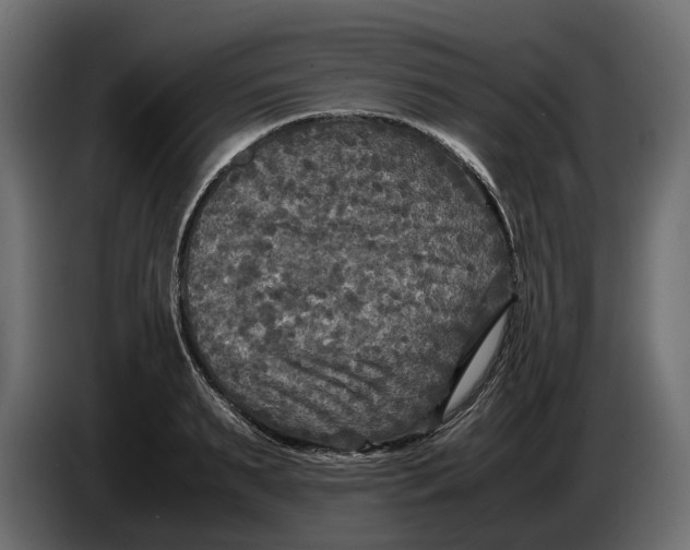 X0000086010895200704131825
