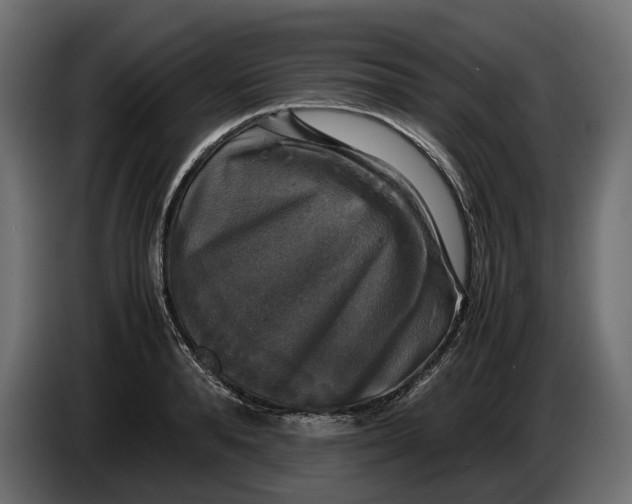 X0000086010896200704131825
