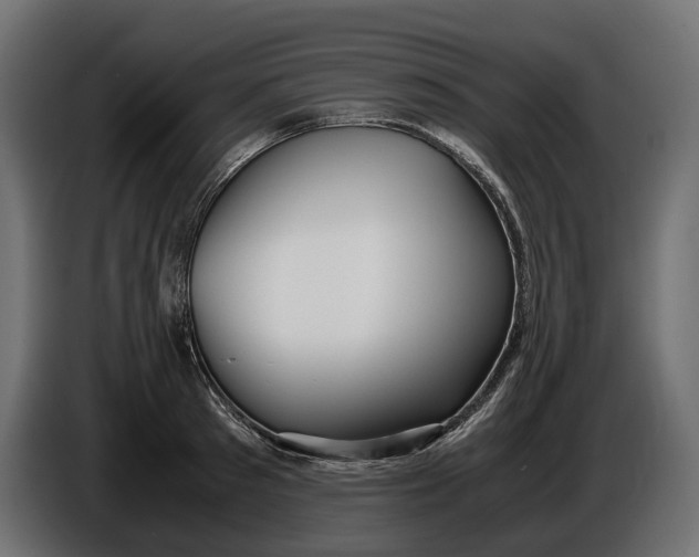 X0000086010897200704131825