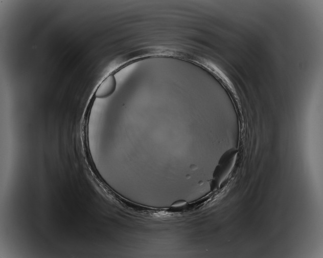 X0000086010899200704131825