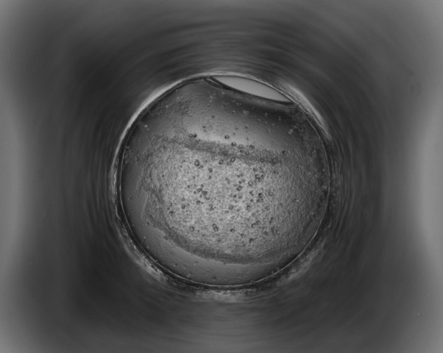 X0000086010900200704131825