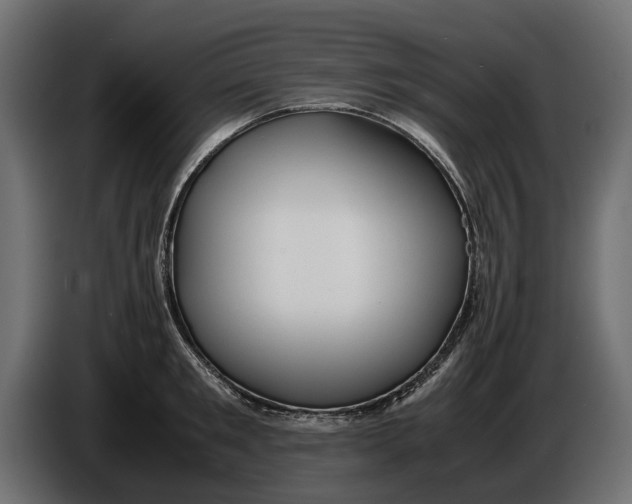 X0000086010901200704131825