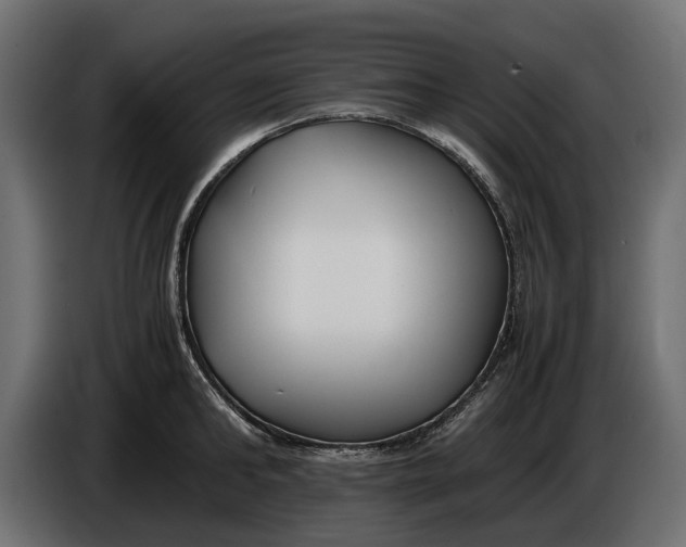 X0000086010902200704131825