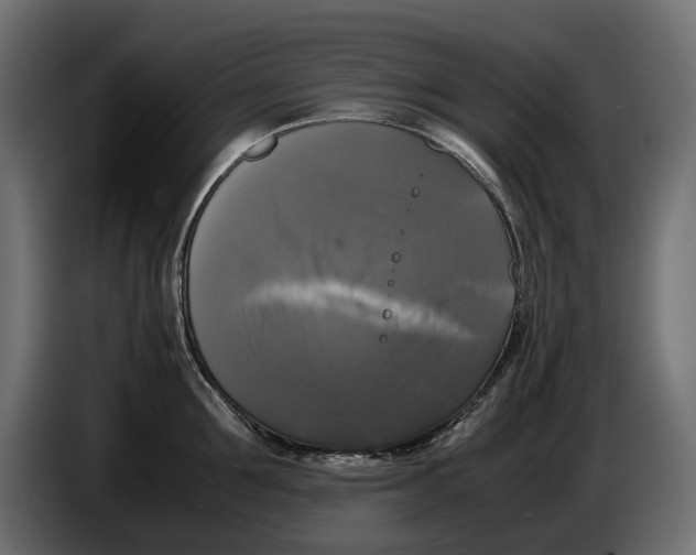 X0000086010907200704131825