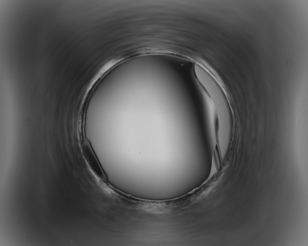 X0000086010909200704131825