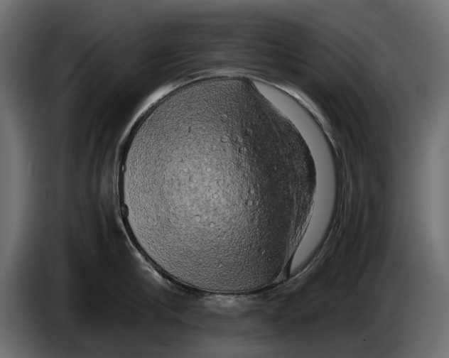 X0000086010910200704131825