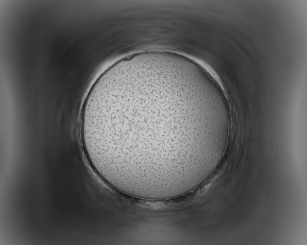 X0000086010911200704131825