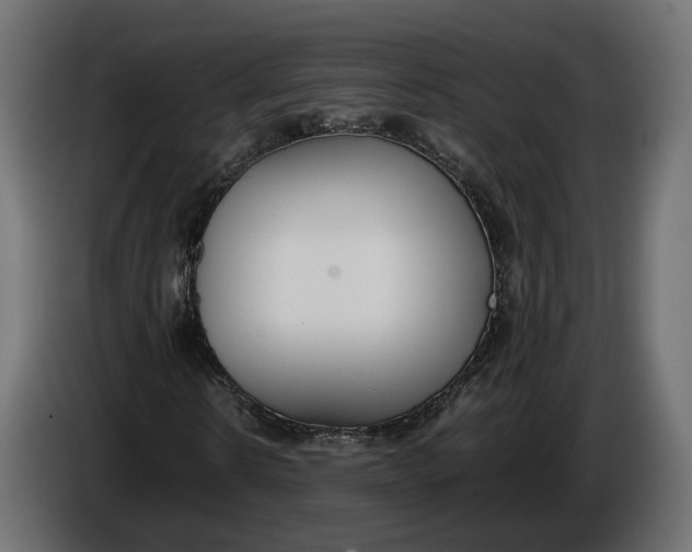 X0000086010914200704131824
