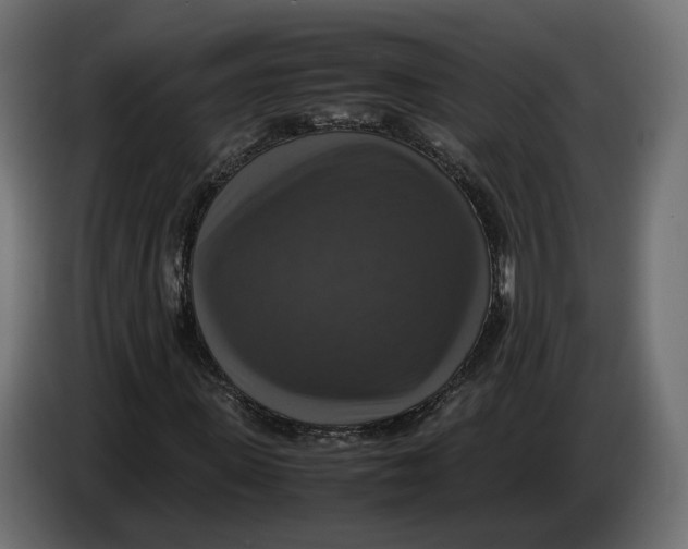 X0000086010915200704131824