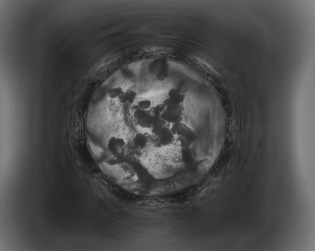 X0000086010917200704131824